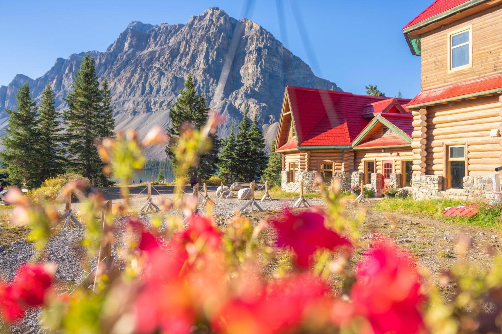The Lodge At Bow Lake 露易丝湖 外观 照片