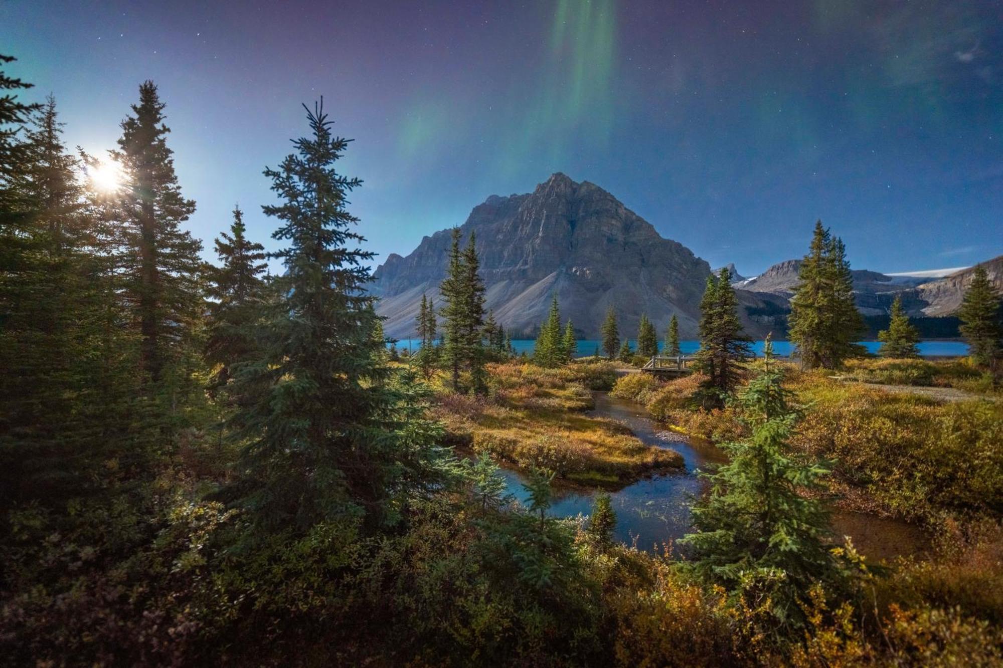 The Lodge At Bow Lake 露易丝湖 外观 照片